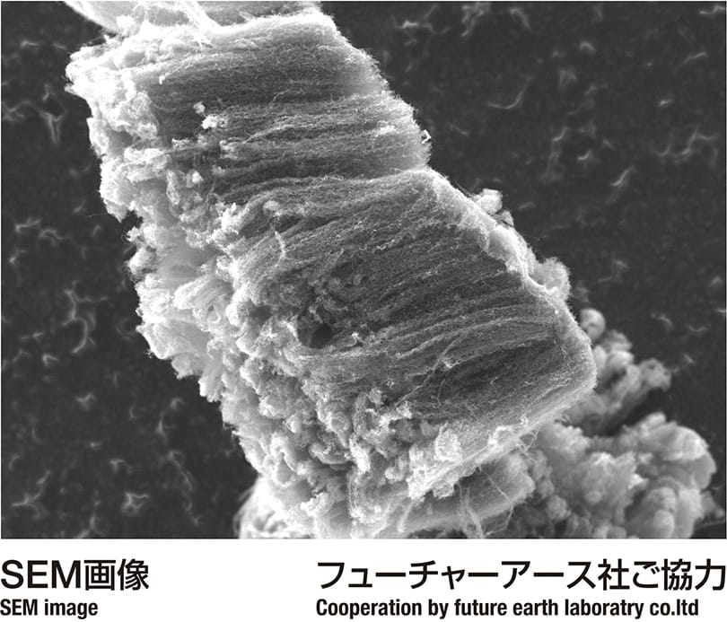 SEM画像 フューチャーアース社ご協力