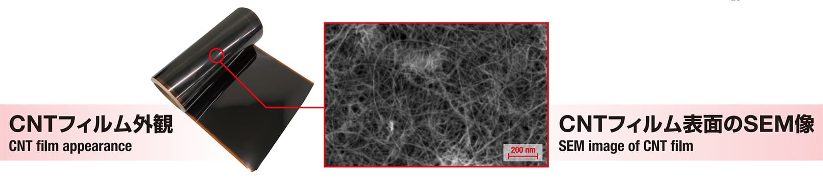 CNTフィルム外観,CNTフィルム表面のSEM像
