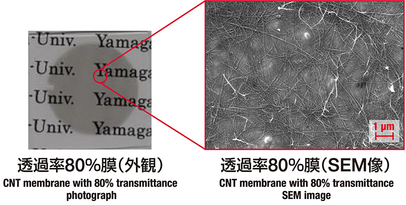 透過率80％膜（外観）,透過率80％膜（SEM像）