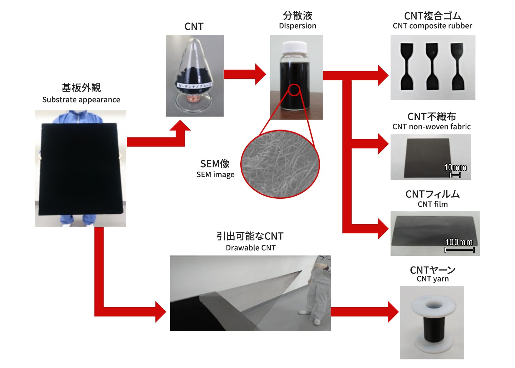 カーボンナノチューブの用途展開技術