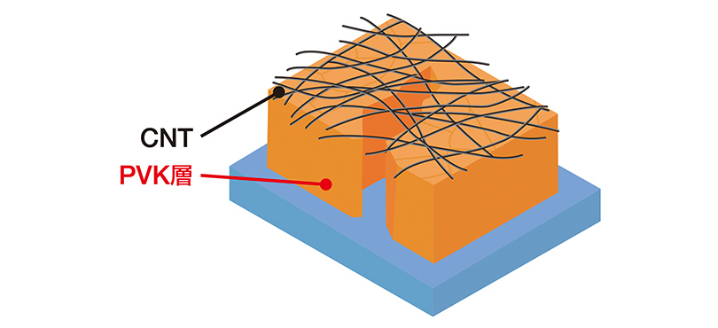 CNT,PVK層
