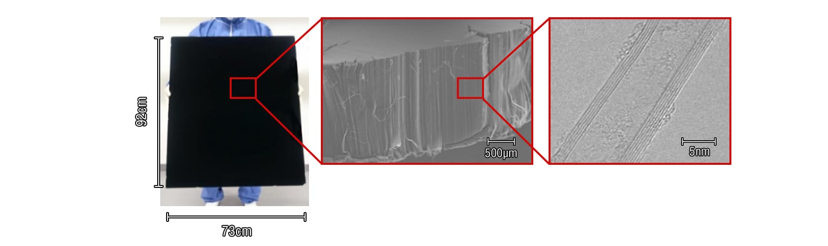 Large surface area base board and Carbon Nano Tube microscope photograph